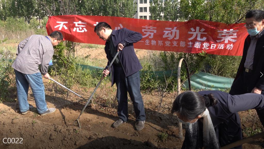 图片包含 户外, 人, 草, 男人描述已自动生成